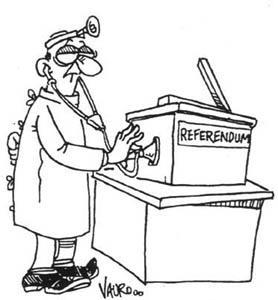 referendum2009